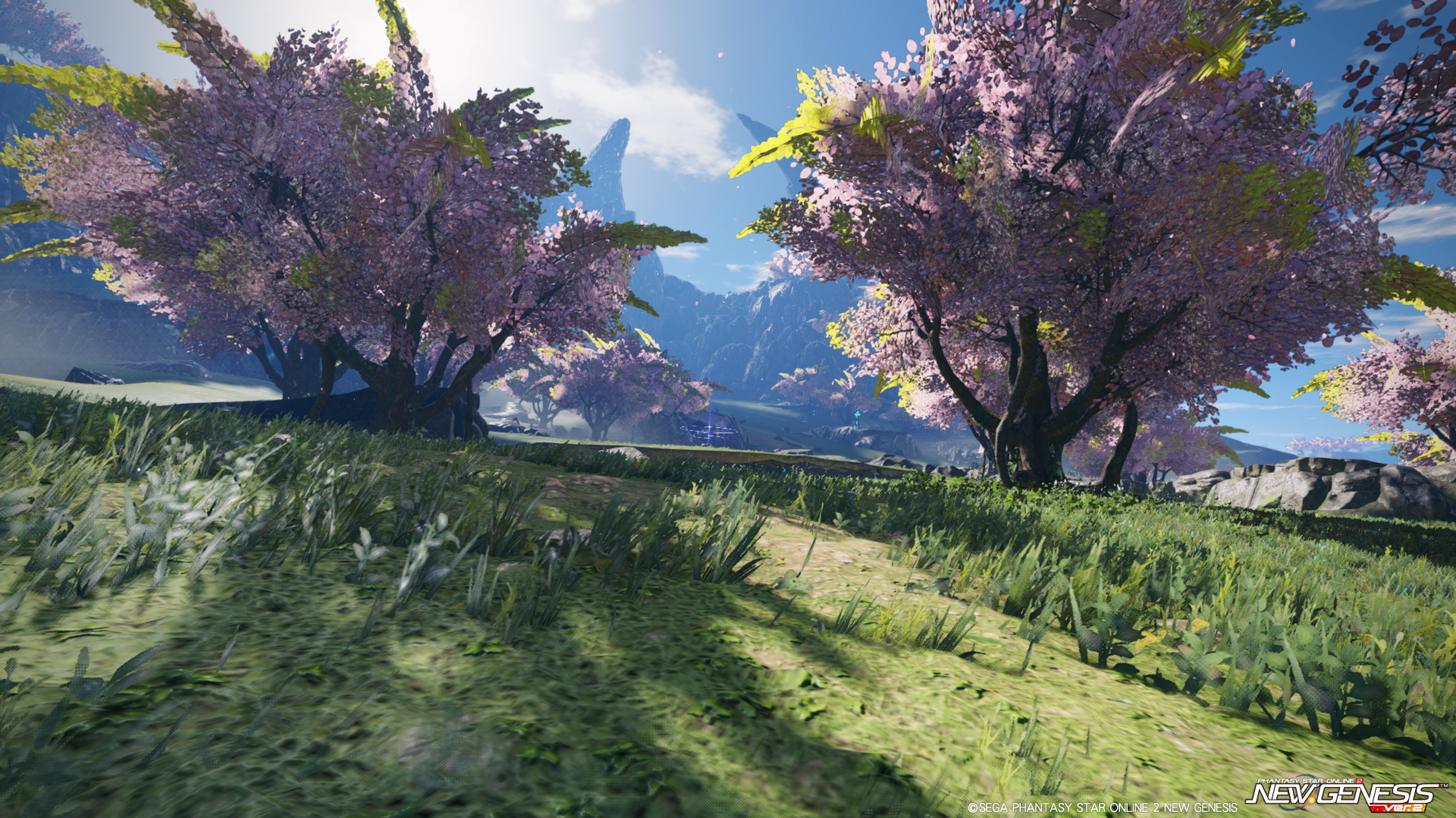 桜が舞っている風景のスクリーンショット